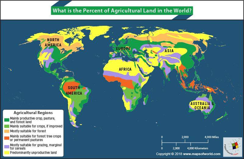 How to Bring the World's 'Dead' Farmland Back to Life