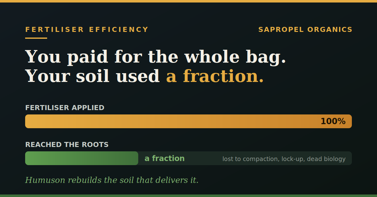 Why More Fertiliser Won't Fix Your Failing Soil