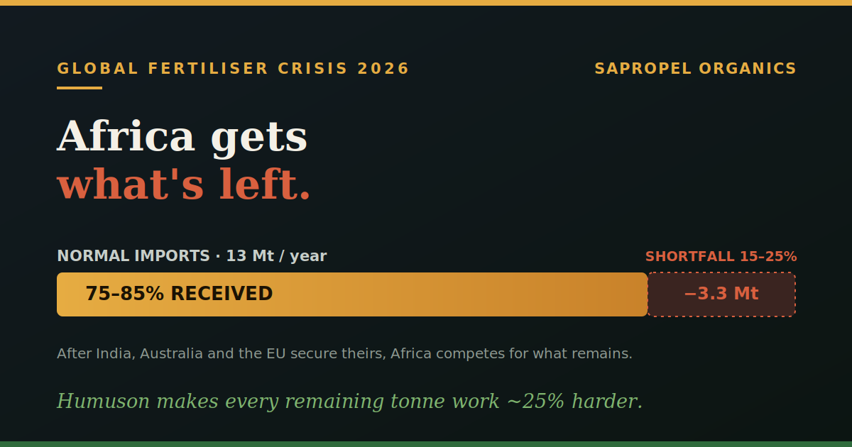 Why Africa's Fertiliser Crisis Is Really an Allocation Crisis