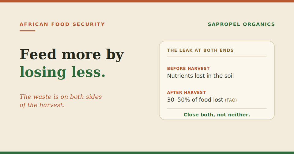 Why Growing More Food Isn't How Africa Feeds Itself