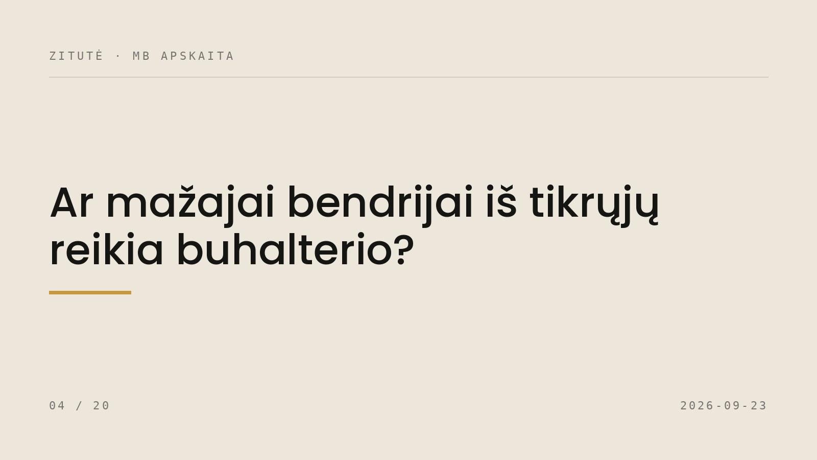 Ar mažajai bendrijai iš tikrųjų reikia buhalterio?