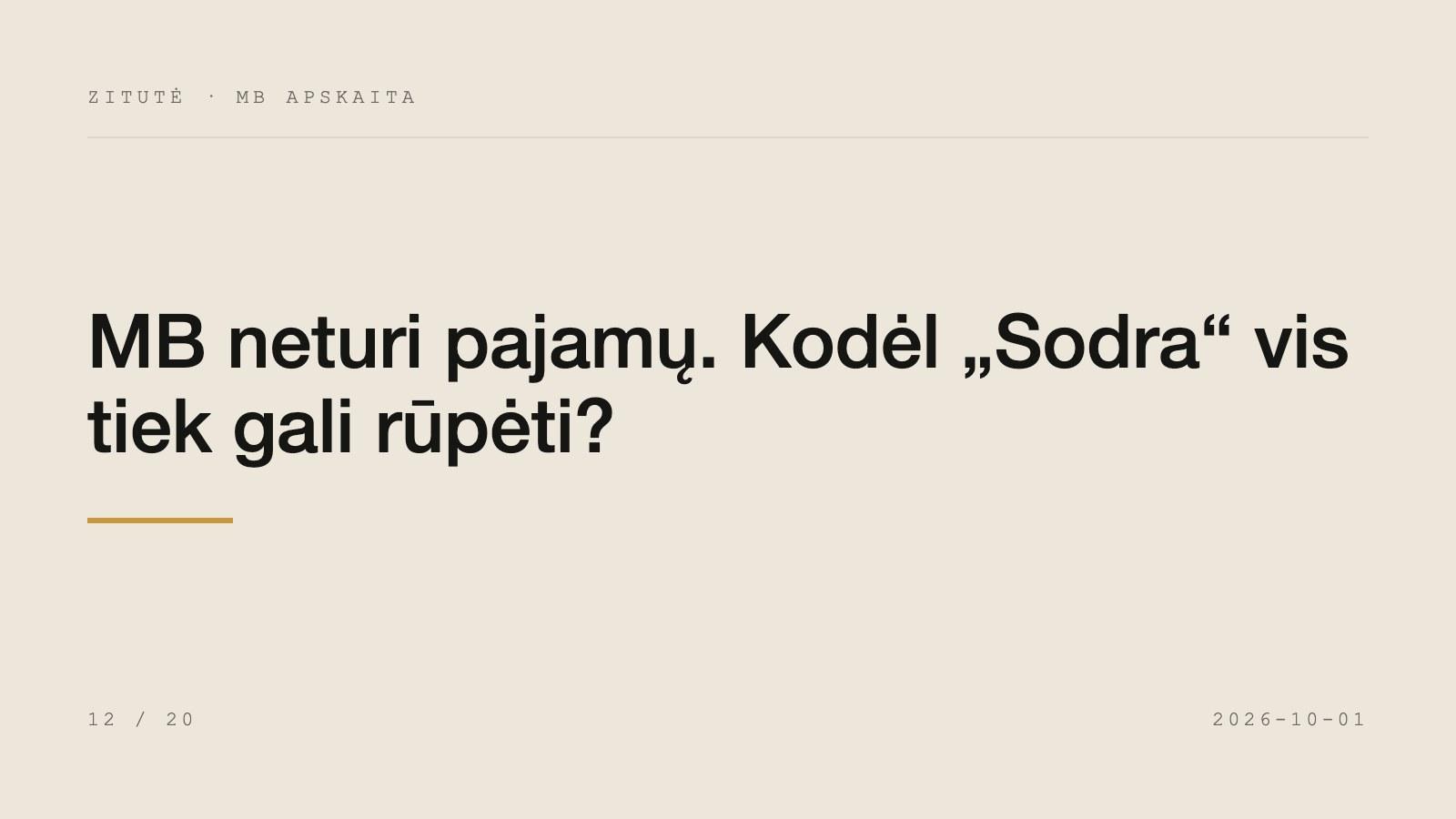 MB neturi pajamų. Kodėl „Sodra“ vis tiek gali rūpėti?