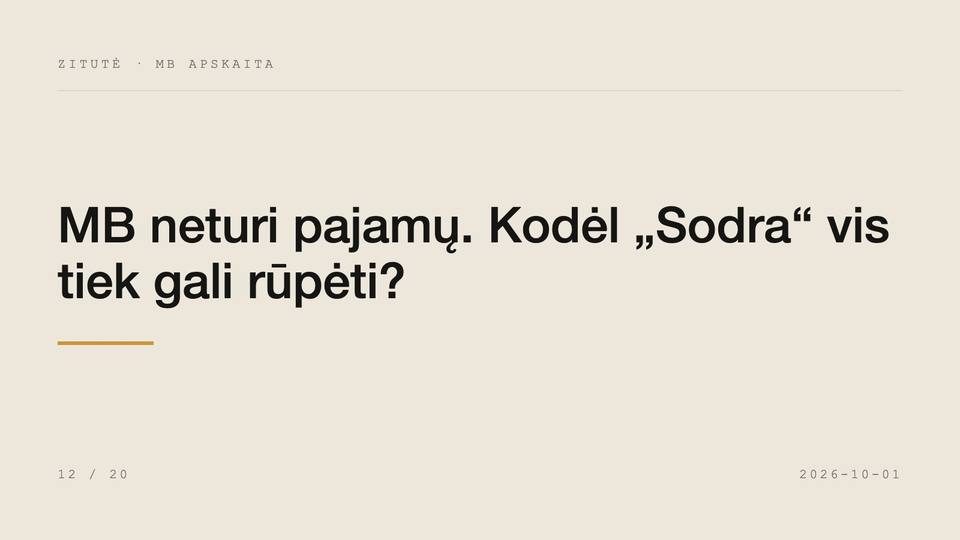 MB neturi pajamų. Kodėl „Sodra“ vis tiek gali rūpėti?