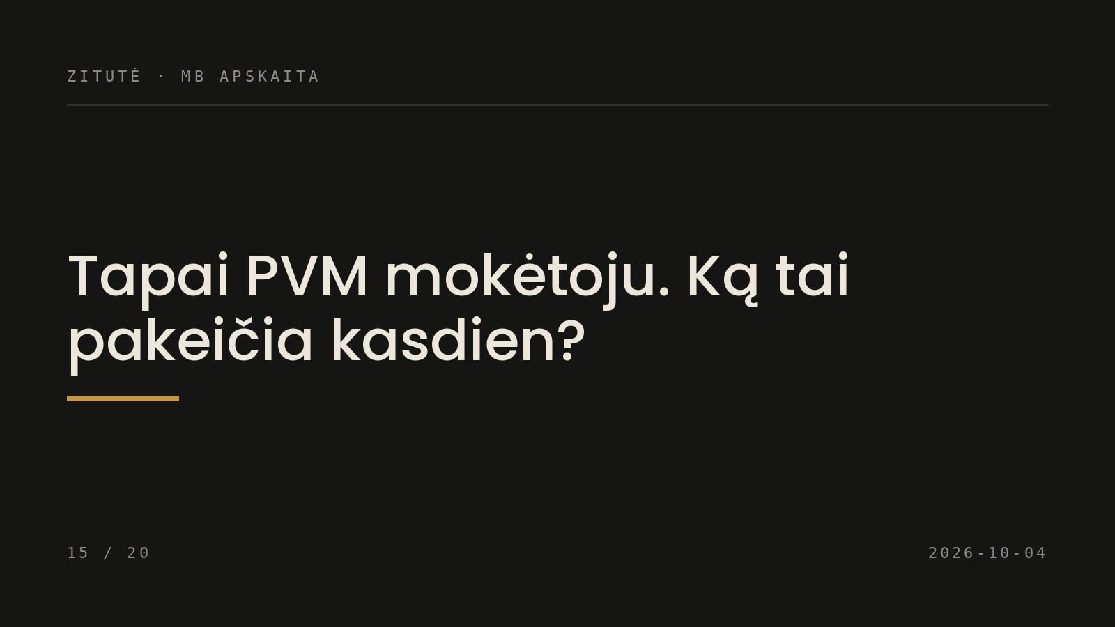Tapai PVM mokėtoju. Ką tai pakeičia kasdien?