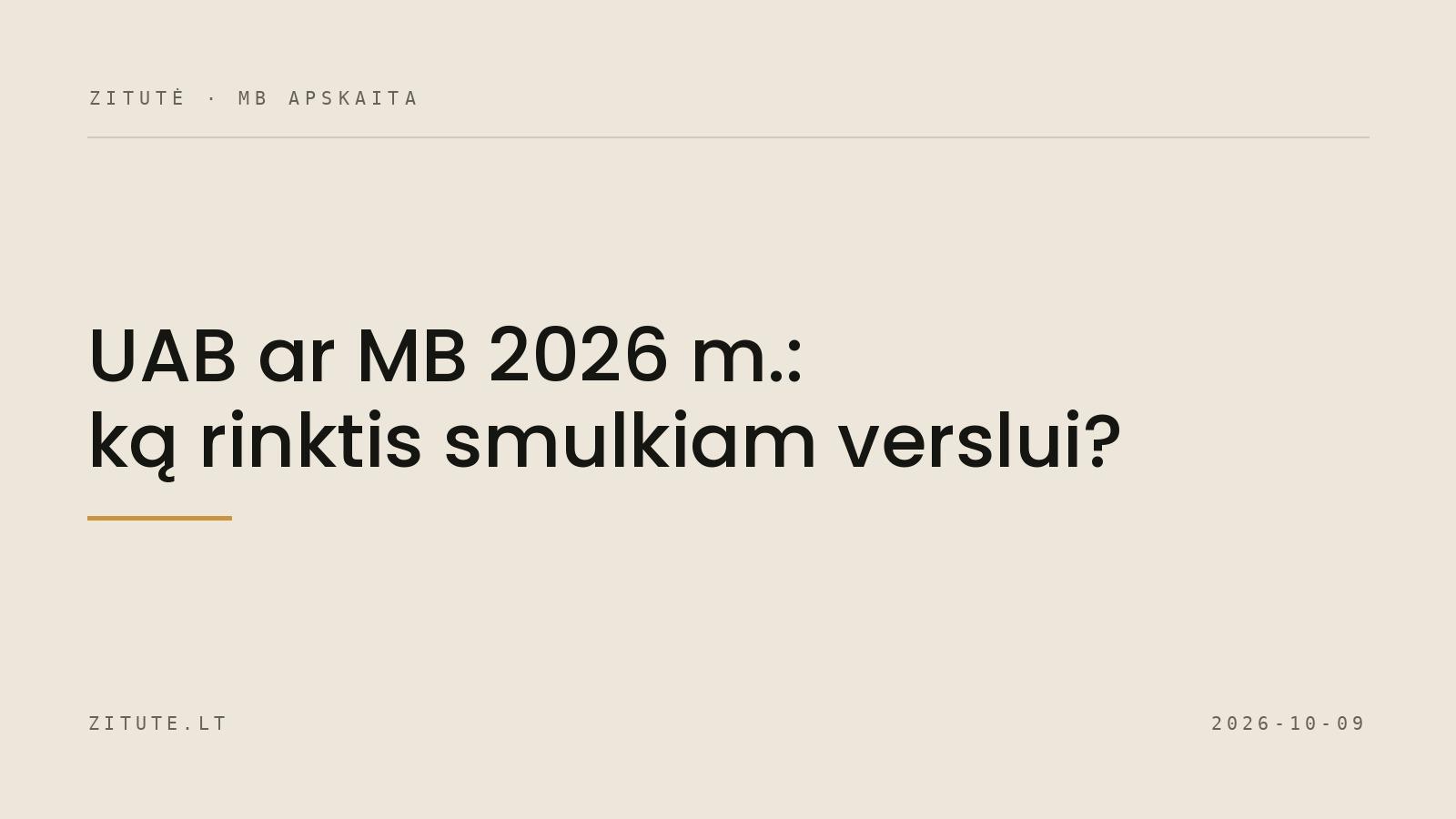 UAB ar MB 2026 m.: ką rinktis smulkiam verslui?