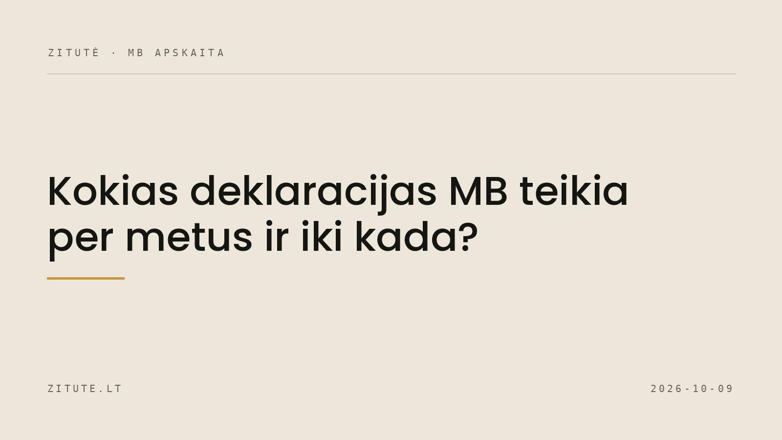 Kokias deklaracijas MB teikia per metus ir iki kada?
