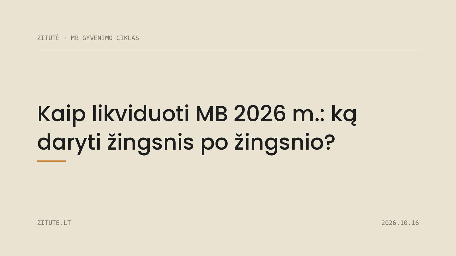 Kaip likviduoti MB 2026 m.: ką daryti žingsnis po žingsnio?