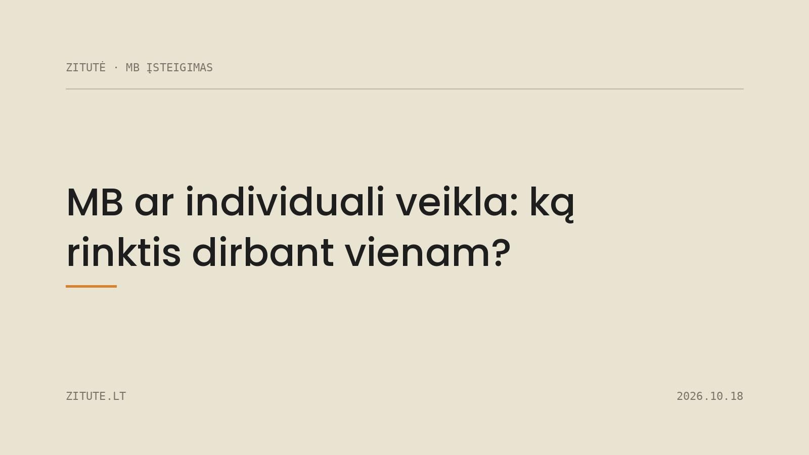 MB ar individuali veikla: ką rinktis dirbant vienam?