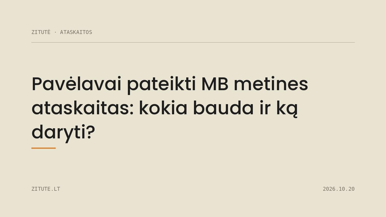 Pavėlavai pateikti MB metines ataskaitas: kokia bauda ir ką daryti?