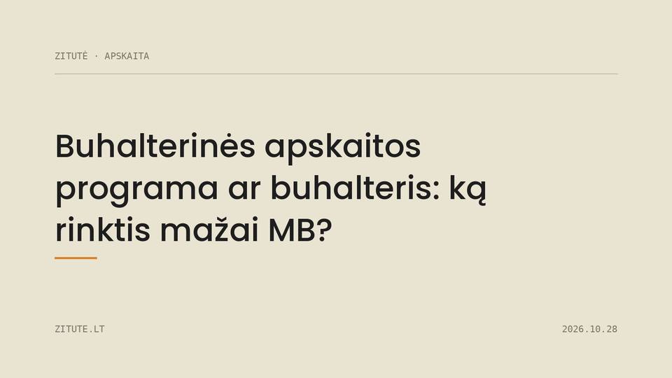 Buhalterinės apskaitos programa ar buhalteris: ką rinktis mažai MB?
