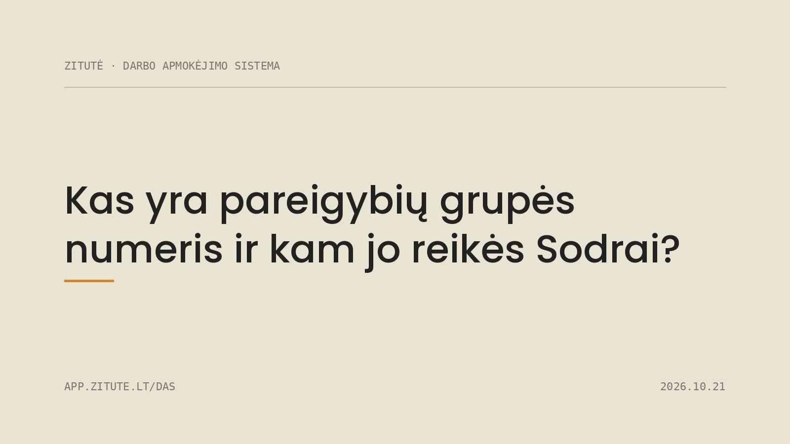 Kas yra pareigybių grupės numeris ir kam jo reikės Sodrai?