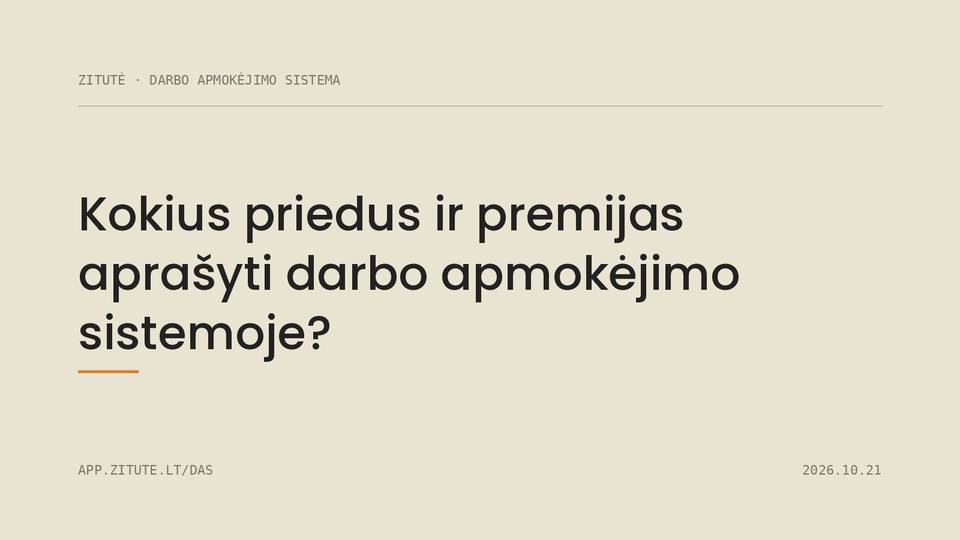 Kokius priedus ir premijas aprašyti darbo apmokėjimo sistemoje?