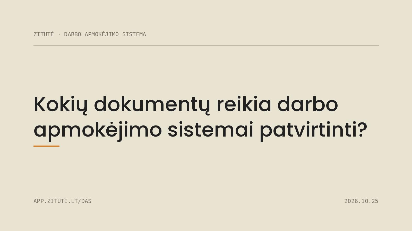 Kokių dokumentų reikia darbo apmokėjimo sistemai patvirtinti?