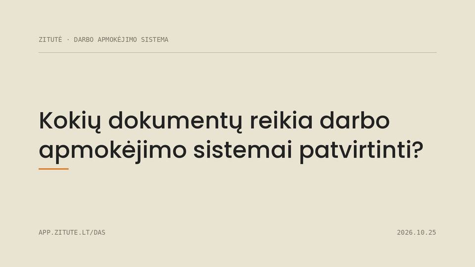 Kokių dokumentų reikia darbo apmokėjimo sistemai patvirtinti?
