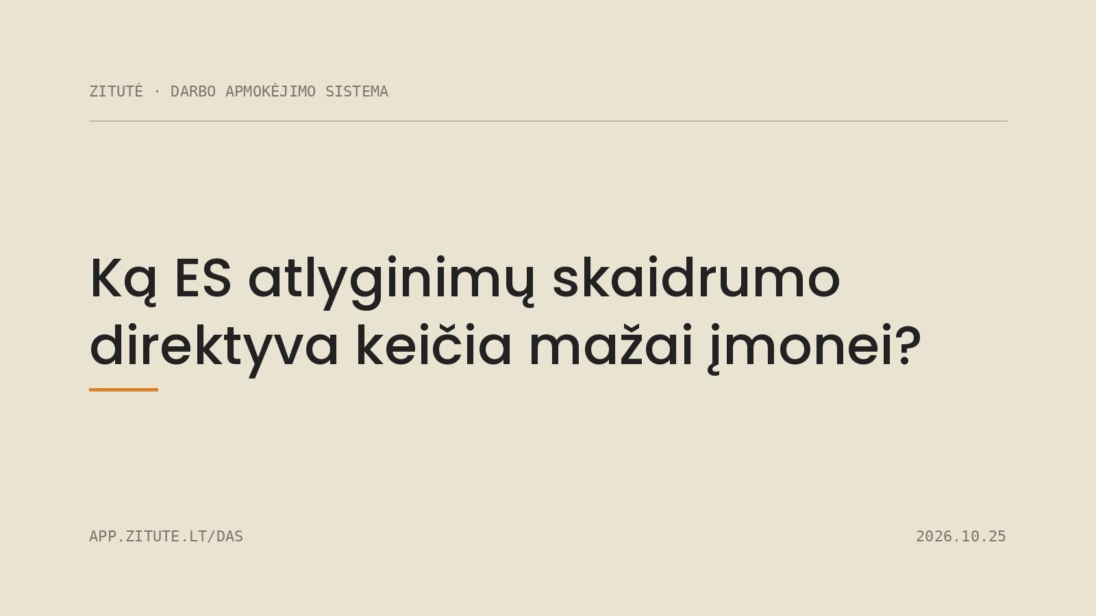 Ką ES atlyginimų skaidrumo direktyva keičia mažai įmonei?