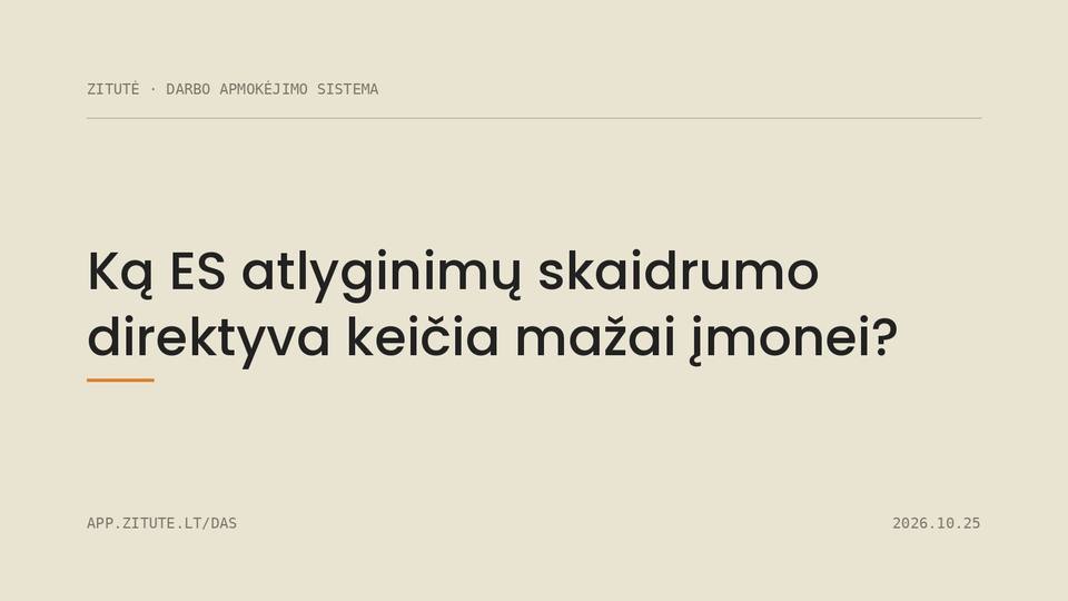 Ką ES atlyginimų skaidrumo direktyva keičia mažai įmonei?